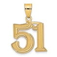 thumbnail image 1 of Diamond2Deal Mother's Day Gift 14K Yellow Gold Polished Etched Number 51 Pendant for Women, 1 of 7