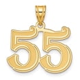 thumbnail image 1 of Diamond2Deal Mother's Day Gift 14K Yellow Gold Polished Etched Number 55 Pendant for Women, 1 of 6