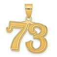thumbnail image 1 of Diamond2Deal 14K Yellow Gold Polished Etched Number 73 Pendant for Women, 1 of 6