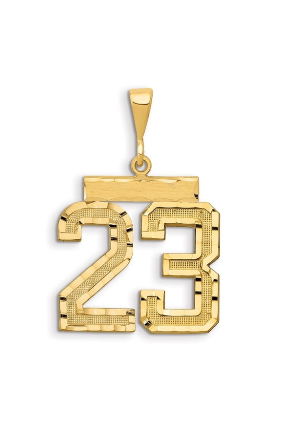 14K Yellow Gold Small Brushed Diamond-cut Number 23 Charm for Women