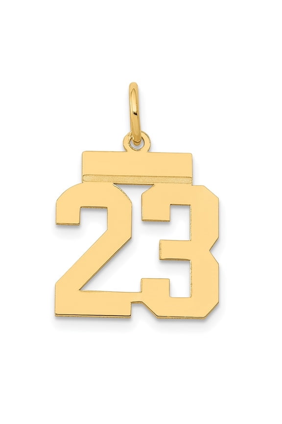 14K Yellow Gold Small Polished Number 23 Charm for Women (L-17.27 mm, W-14.93 mm)