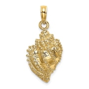 Diamond2Deal 14K Yellow Gold Textured Conch Shell Pendant for Women L- 1.15 in, W- 0.51 in