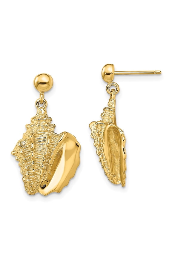 14k Yellow Gold 2-D Conch Shell Dangle Post Earrings for Women (L- 0.97 in, W-0.56 in)