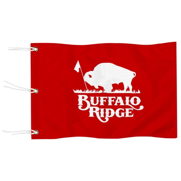 DianYu Buffalo Ridge Golf Pin Flag Practic Putting Green Golf Flag For Backyard Garden  Miniature Pin Flag with Three Brass Grommets 20x13Inch
