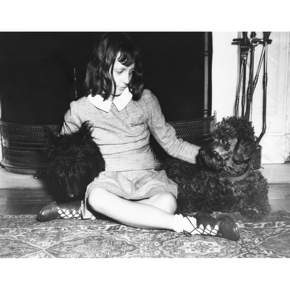 Diana Hopkins History (24 x 18)