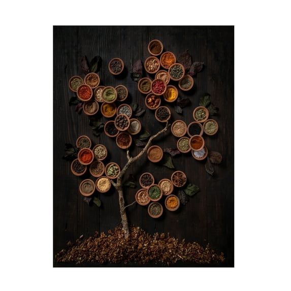 Diana Popescu 'Tree Of Spice' Canvas Art