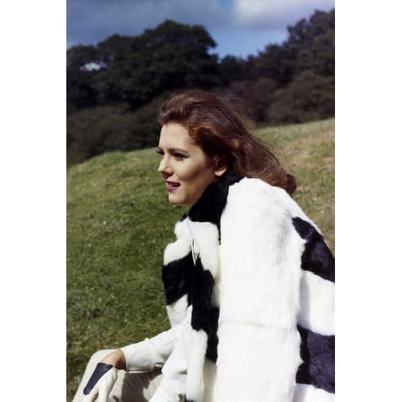 Diana Rigg in The Avengers in profile as Emma Peel 1960's 24x36 Poster