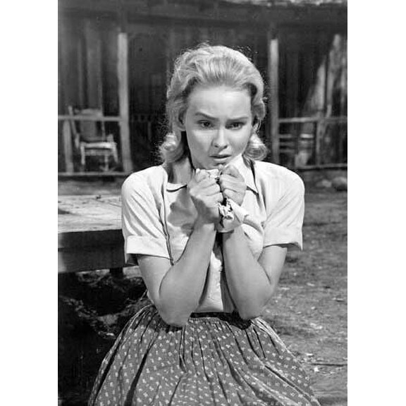 Diane McBain 1961 Claudelle Inglish sitting outside cabin 5x7 inch photo