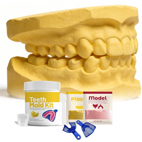 Dianli Dental Plaster Tooth Model Kit Educational Casting Set With Clear Outline and Basic Tooth Form Mold Carrier for Student Practice Teaching Lab Supplies