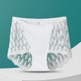 Dianli Lingerie High-Waist Lace Shapewear Panties Women's Plus-Size ...