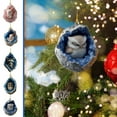 thumbnail image 1 of Dianli Owl Raccoon Christmas Tree Ornament 2D Flat Print Acrylic Holiday Decorations for Xmas Trees Wreaths and Festive Gift Wrapping, 1 of 7