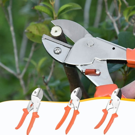 Dianli Pruning Scissors Garden Shears Stainless Steel Sharp Blade Ergonomic Handle for Fruit Tree Branches Flowers Shrubs Strong Lightweight Rust-Resistant Easy Cut Durable