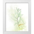thumbnail image 1 of Diannart 12x14 White Modern Wood Framed Museum Art Print Titled - Fresh Herbs III, 1 of 4