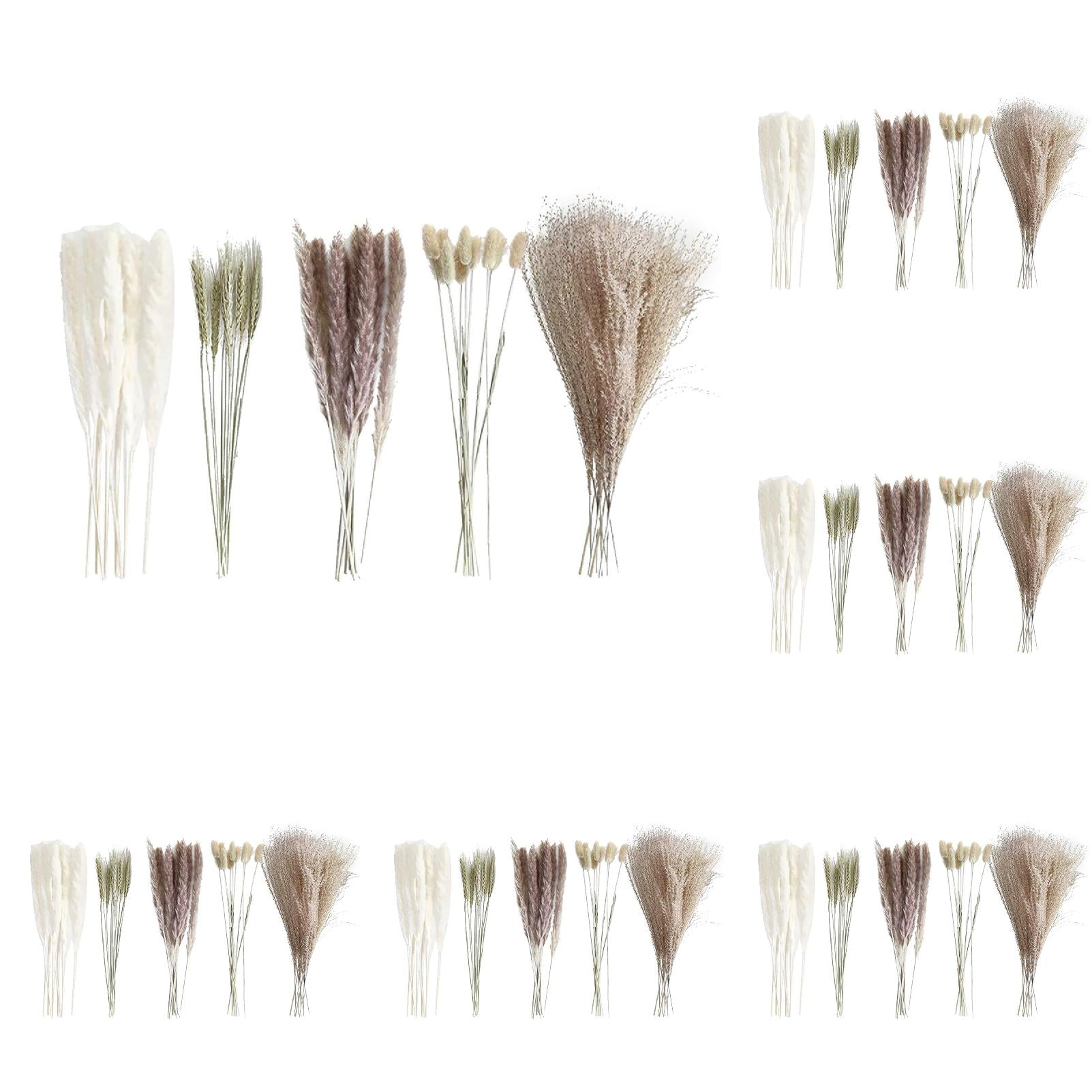 Dianopex 5PCS Toilet Bolt Caps Tall Toilet Bolt Covers Decorative Bird Replacement Toilet Screw