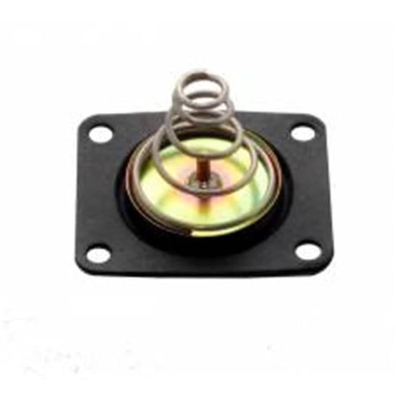 Diaphragm Quick Fuel Pumps Diaphragm Kit - Gas