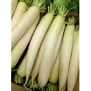 Dibbs Seed 5 Lbs Daikon Radish Seeds, Cool Season Root Vegetable