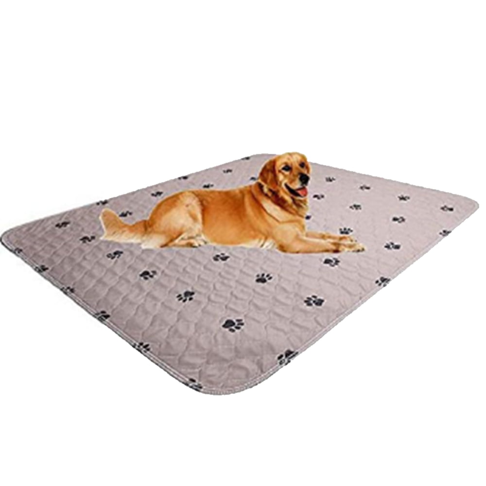 Washable Dog Mat Easy To Clean Pet Muddy Paws Rug Absorbent Dogs Diapers  Pads Soft Cushion