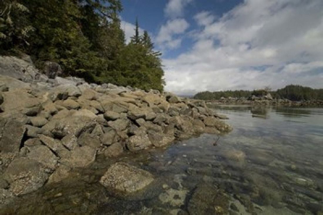 Dicebox Island Pacific Rim NP British Columbia Canvas Art - Roddy Scheer DanitaDelimont (36 x 24)