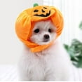 thumbnail image 1 of Diceymbol Halloween Pumpkin Pet Hat Adorable Costume for Cats and Dogs Perfect Festive Accessory for Small Pets, 1 of 6