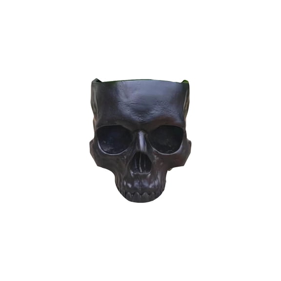Diceymbol Halloween Resin Skull Planter and Candy Bowl Storage Container for Desk Shelf Gothic Home Decor 5 Inch