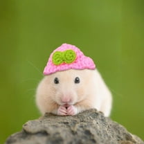 Diceymbol Mini Hand Knitted Hat for Small Animals Cute Adjustable Hamster & Bunny Hat with Frog, Carrot & Rainbow Designs Tiny Pet Accessories for Hedgehogs, Birds, Lizards