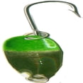 thumbnail image 1 of Dick Nite Spoons Brass Greenhead Fishing Equipment, 1/32 oz, Green, 1 of 1