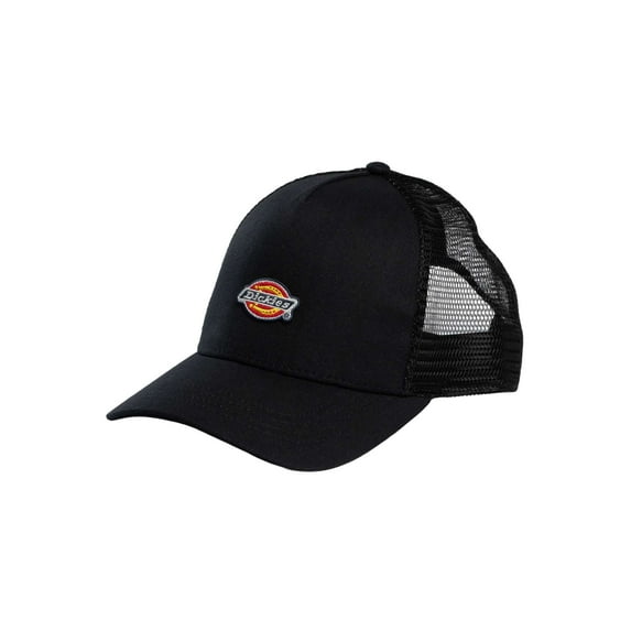 Dickies Hanston Trucker Cap, Black