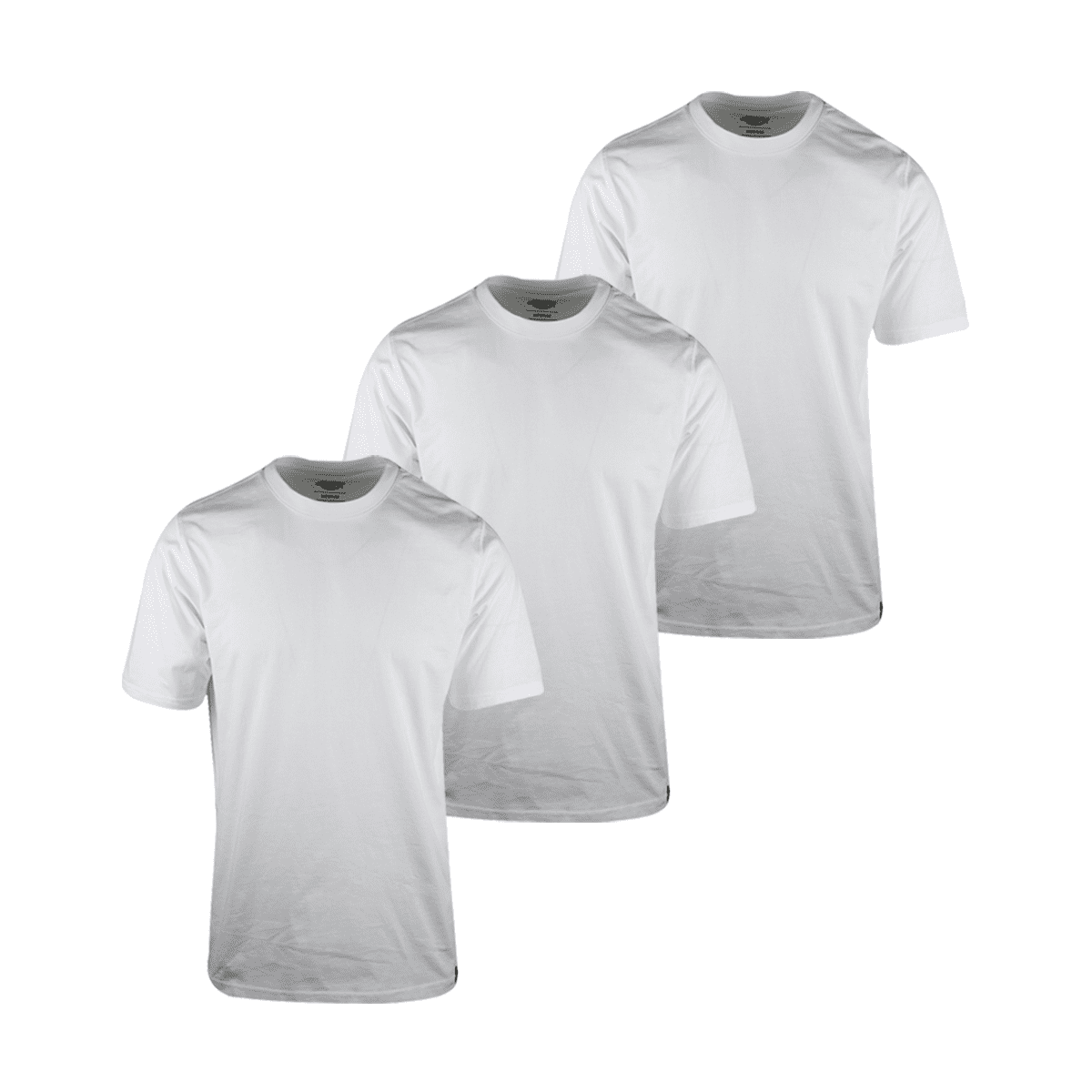 dickies 3 pack t shirts in white