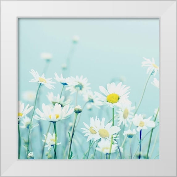 Dickinson, Robin 12x12 White Modern Wood Framed Museum Art Print Titled - Day Daisies