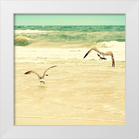 Dickinson, Robin 15x15 White Modern Wood Framed Museum Art Print Titled - Splash and Fly