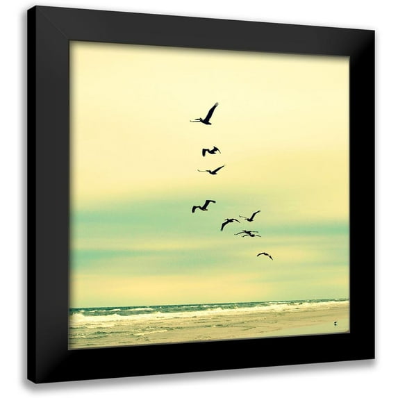 Dickinson, Robin 20x20 Black Modern Framed Museum Art Print Titled - Ocean Flock