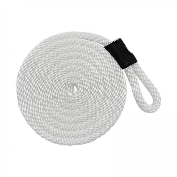 Dickly 2xBoat Line Docking Boat Line with Eyelet Nylon Pontoon Boat Accessories Whipped End Bag Buoy Marine Rope Boat Dock Line 2 Pcs