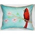 thumbnail image 1 of Dicks Cardinal Throw Pillow, 16 x 20 in., 1 of 1