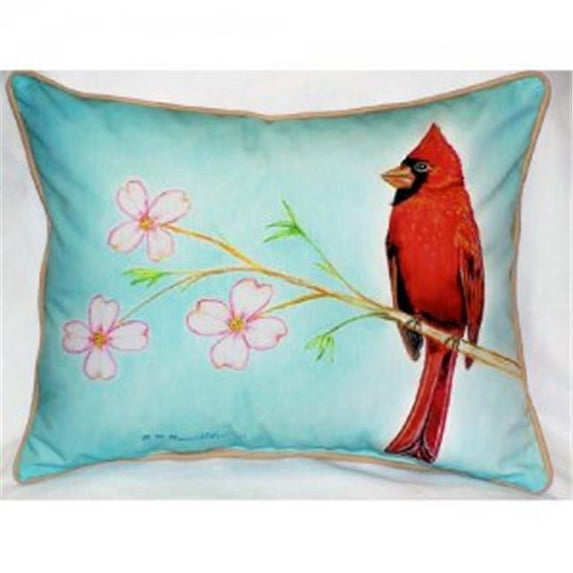 Dicks Cardinal Throw Pillow, 16 x 20 in.