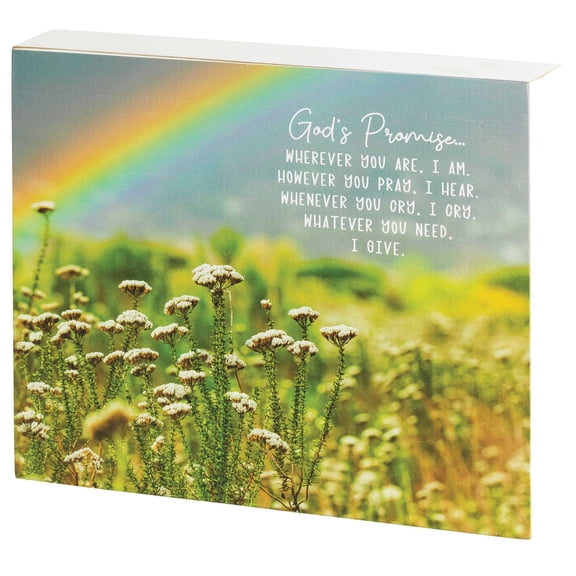 Dicksons God's Promise Rainbow Field 10 x 8 MDF Wall Tabletop Sign Plaque