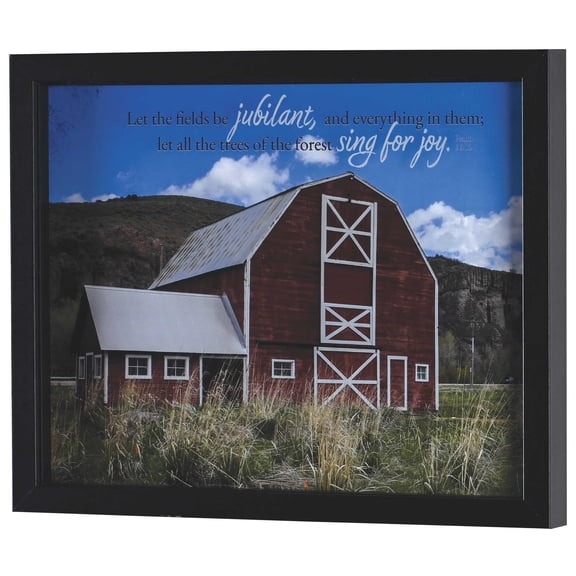 Dicksons Inspirational Christian Wall Hanging Shadow Box Style Framed Wall Dcor for Home 12 x 15 Inch Wood and Glass Let the Fields Be Jubilant