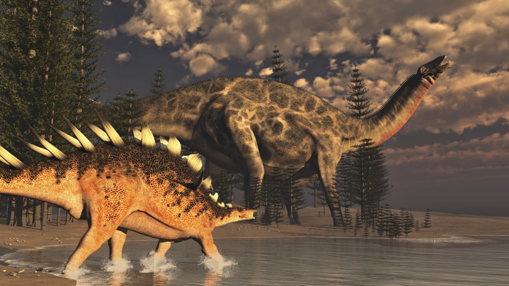 Dicraeosaurus and Kentrosaurus dinosaur walking along the shoreline Canvas Art - Elena DuvernayStocktrek Images (37 x 21)