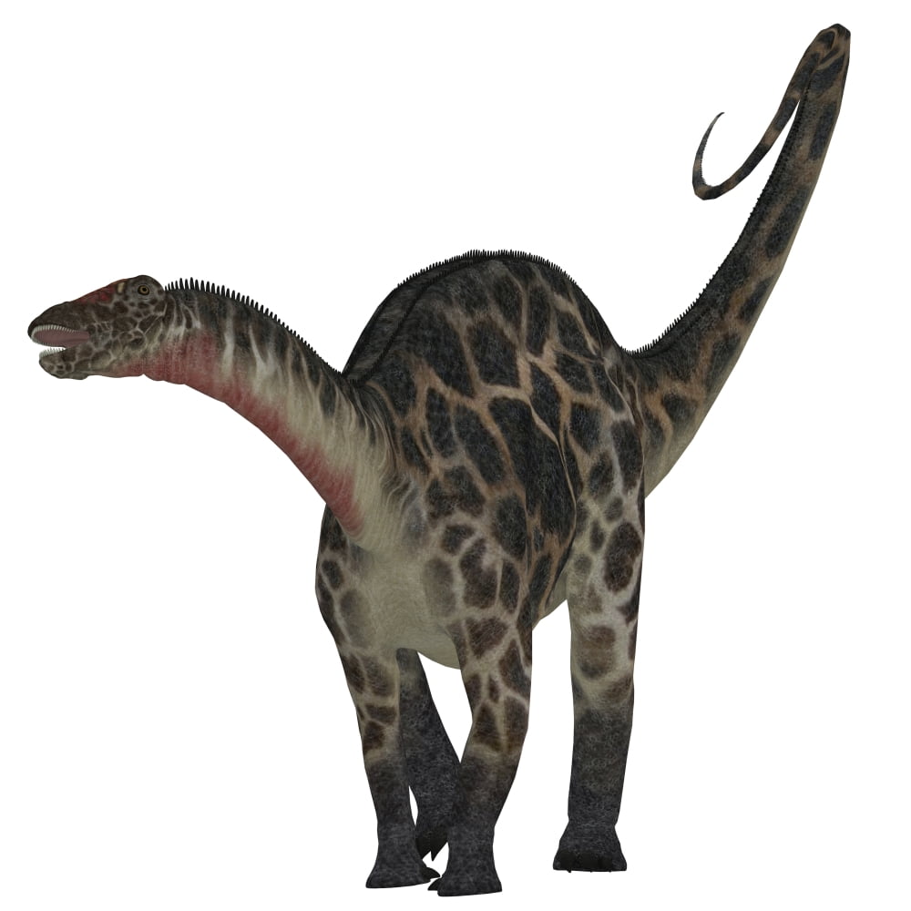 Dicraeosaurus dinosaur Canvas Art - Corey FordStocktrek Images (28 x 28)