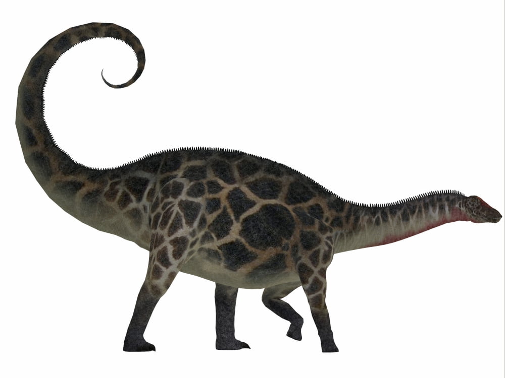 Dicraeosaurus dinosaur side view Canvas Art - Corey FordStocktrek Images (32 x 24)
