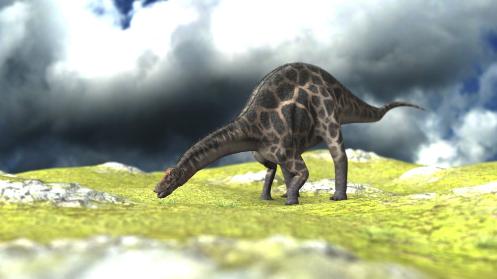 Dicraeosaurus grazing an open field Canvas Art - Kostyantyn IvanyshenStocktrek Images (19 x 11)