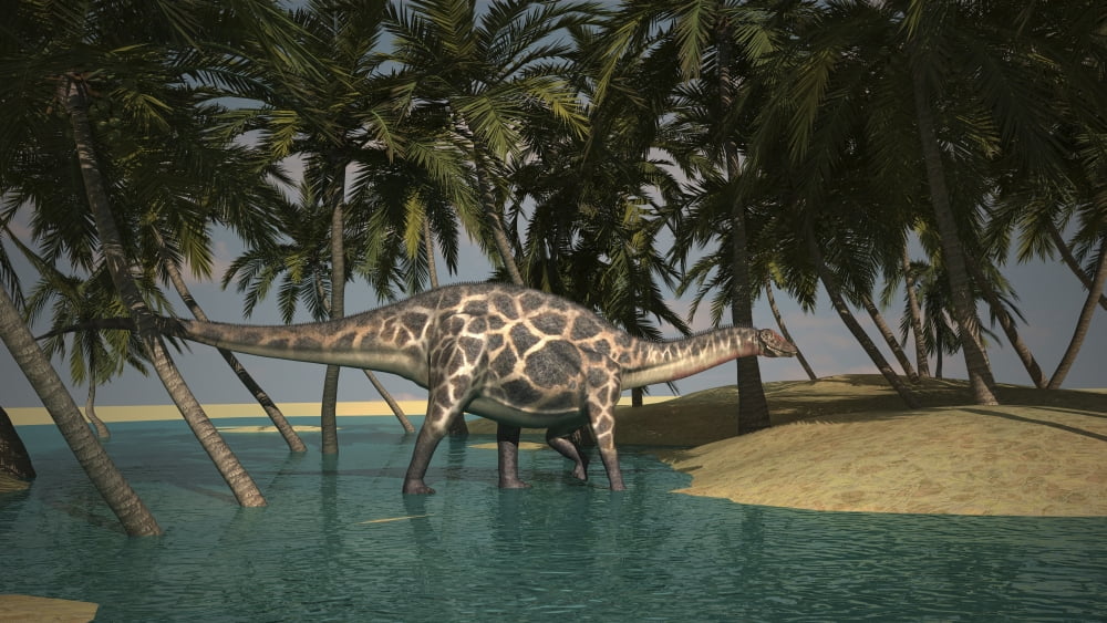 Dicraeosaurus grazing in a tropical climate Canvas Art - Kostyantyn IvanyshenStocktrek Images (38 x 22)