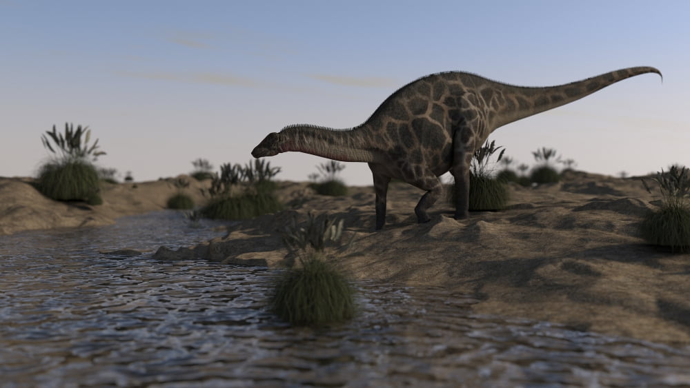 Dicraeosaurus grazing near a spring Canvas Art - Kostyantyn IvanyshenStocktrek Images (37 x 21)