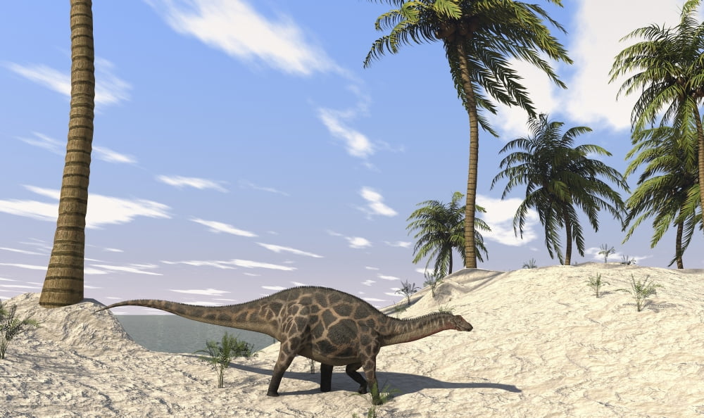 Dicraeosaurus in a prehistoric environment Canvas Art - Kostyantyn IvanyshenStocktrek Images (18 x 11)