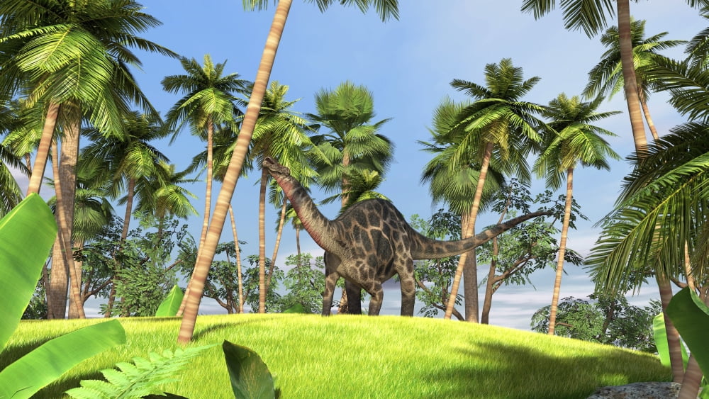 Dicraeosaurus in a prehistoric forest Canvas Art - Kostyantyn IvanyshenStocktrek Images (19 x 11)