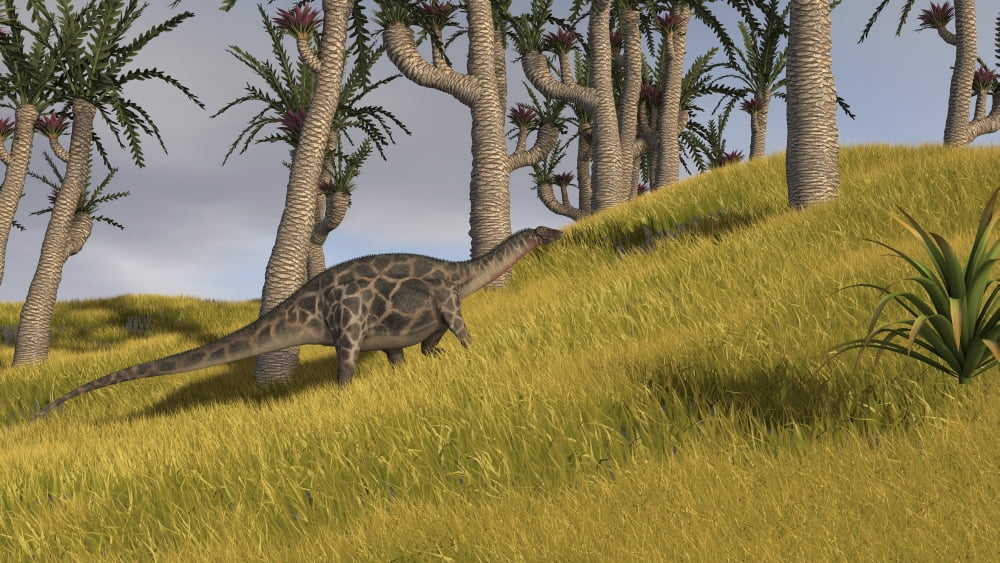 Dicraeosaurus in a savanna landscape Canvas Art - Kostyantyn IvanyshenStocktrek Images (38 x 22)