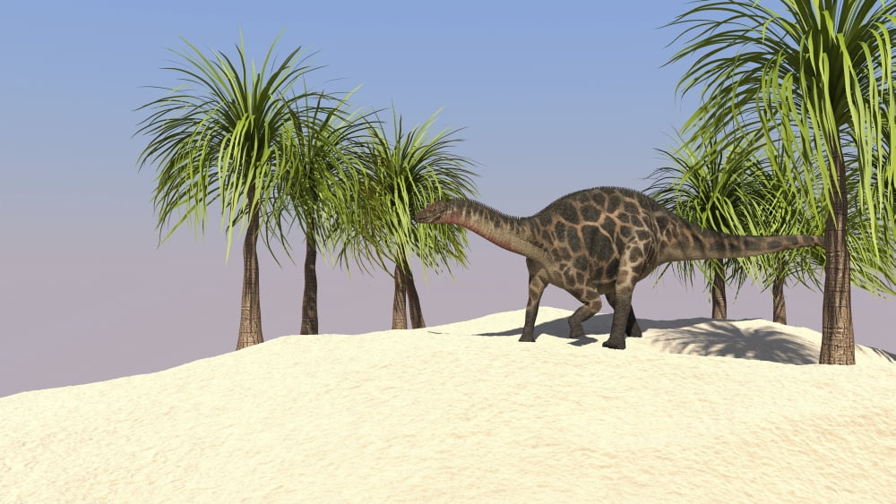 Dicraeosaurus in a tropical environment Canvas Art - Kostyantyn IvanyshenStocktrek Images (38 x 22)