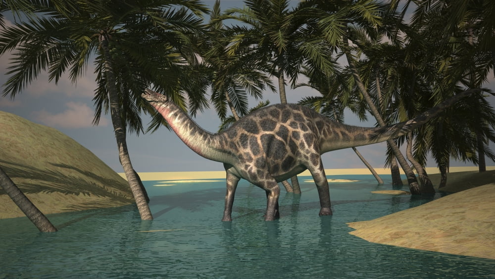 Dicraeosaurus in shallow water Canvas Art - Kostyantyn IvanyshenStocktrek Images (19 x 11)