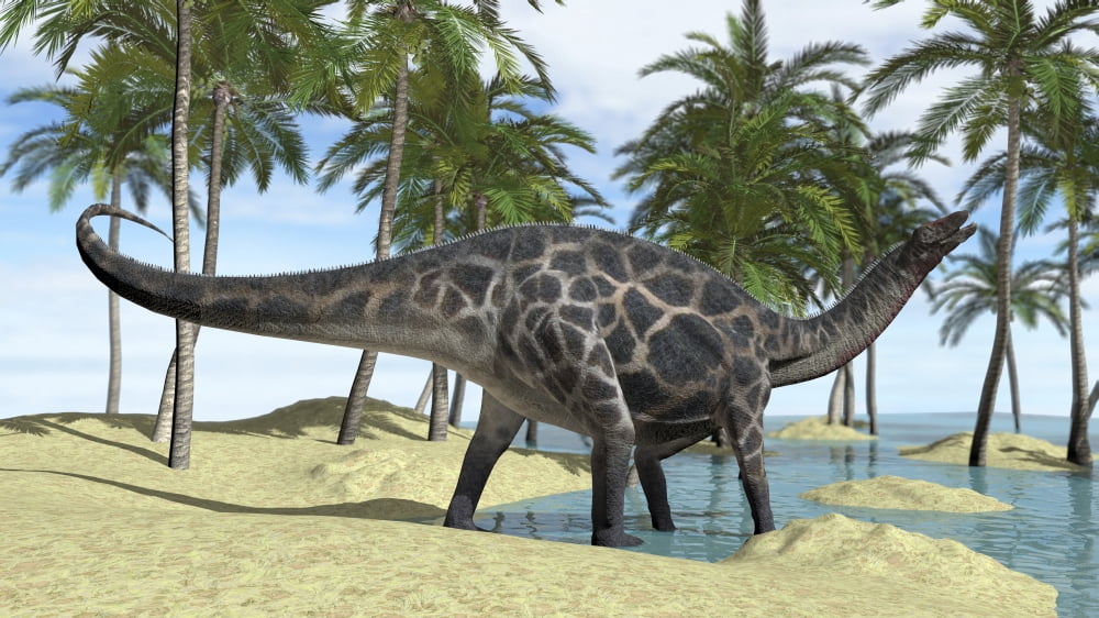 Dicraeosaurus in shallow water Canvas Art - Kostyantyn IvanyshenStocktrek Images (19 x 11)