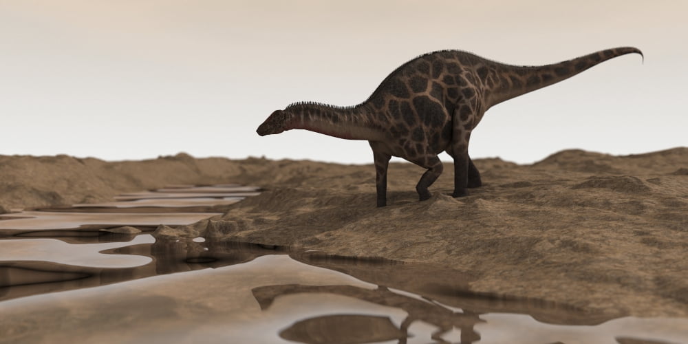 Dicraeosaurus on desert terrain Canvas Art - Kostyantyn IvanyshenStocktrek Images (20 x 10)
