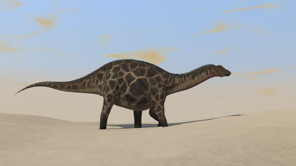 Dicraeosaurus walking across a barren landscape Canvas Art - Kostyantyn IvanyshenStocktrek Images (19 x 11)
